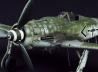 Focke-Wulf Fw 190 D-9