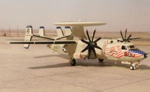 Galerie: Grumman E-2C Hawkeye 2000 - BuNo 163693