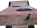 AVUS 1937 (1:43 Touchwood Models)