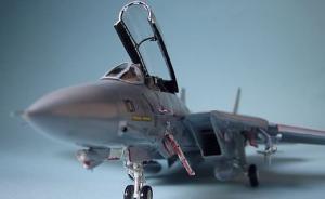 Grumman F-14A Tomcat