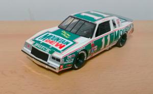 1981 Buick Regal (1:24 Monogram)