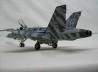 McDonnell Douglas CF-188B Hornet