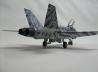 McDonnell Douglas CF-188B Hornet