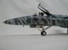 McDonnell Douglas CF-188B Hornet