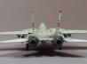Grumman F-14A Tomcat