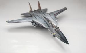 Bausatz: Grumman F-14D Super Tomcat