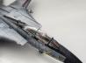 Grumman F-14D Tomcat