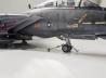 Grumman F-14D Tomcat