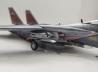 Grumman F-14D Tomcat