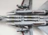 Grumman F-14D Tomcat