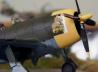 Thunderbolt P-47 D(1:72)