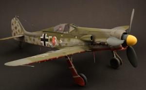 Focke-Wulf Fw 190 D-11