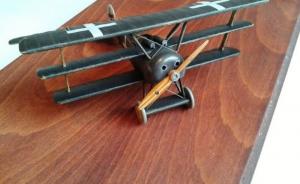 Galerie: Fokker Dr.I