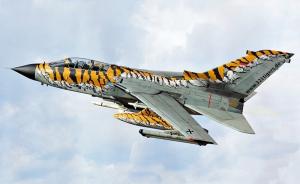 Panavia Tornado ECR