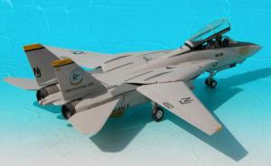 Galerie: Grumman F-14A Tomcat