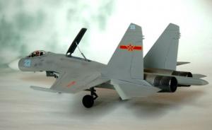 Bausatz: Suchoi Su-33 Flanker-D