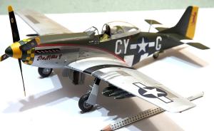 Bausatz: P-51D-15-NA Mustang