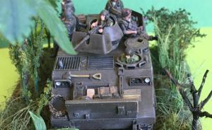 Bausatz: M113
