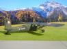 Pilatus PC-6/B2-H2M Turbo-Porter