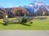 Pilatus Turbo Porter PC-6/B2-H2M