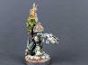 Plague Marine Icon Bearer