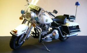 : Harley-Davidson FLH Electra Glide