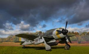 Bausatz: Focke-Wulf Fw 190 F-8