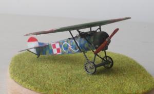 : Fokker E.V (D.VIII)