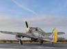 Focke-Wulf Fw 190 F-8