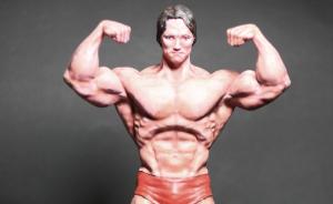 Bausatz: Arnold