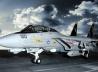 Grumman F-14D Tomcat