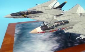 Grumman F-14A Tomcats im Duo