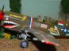 Curtiss P-40N Warhawk