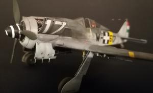 Bausatz: Focke-Wulf Fw 190 F-8