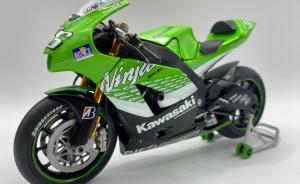 Galerie: Kawasaki Ninja ZX-RR