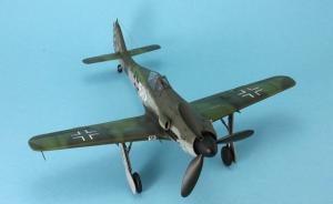 Focke-Wulf FW 190 D-11 