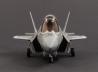 Cute F-35