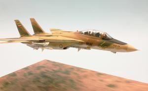 Bausatz: F-14A IRIAF