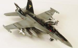 : Boeing EA-18G Growler