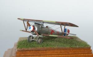 Nieuport 17