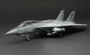 Grumman F-14D Tomcat