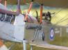 Royal Aircraft Factory R.E.8