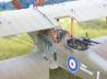 Royal Aircraft Factory R.E.8