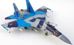 Galerie: Suchoi Su-27UB Flanker-C