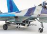 Suchoi Su-27UB Flanker-C