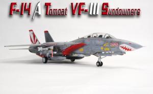 Galerie: Grumman F-14A Tomcat