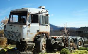 IVECO - Roste in Frieden