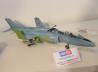 Hobby Boss: Eine gebaute Yak-38U Forger-B in 1:48 hatten die Chinesen ebenfalls dabei.