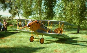 Galerie: Pfalz D.XII