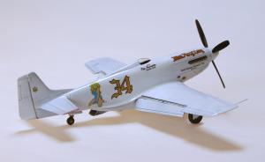 : Race Mustang P-51